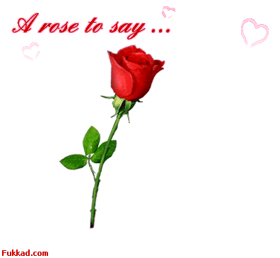 j'aime les belle roses comme ca